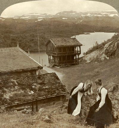 Roddelen bij een herberg langs de weg in Botten, met uitzicht op het Voxli-meer - uitzicht op de Haukeli-bergen, Noorwegen door Unbekannt