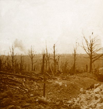 Graven en bombardement, Fleury, Frankrijk door Unbekannt