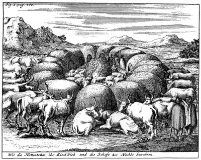 Schapen en vee bewaken 
