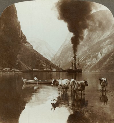 Uitzicht van Gudvangen over de Naerofjord waar de zee ver reikt tussen de bergen, Noorwegen door Unbekannt