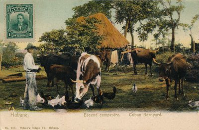 Habana. Escena campestre - Cubaanse Boerderij, c1910 door Unbekannt