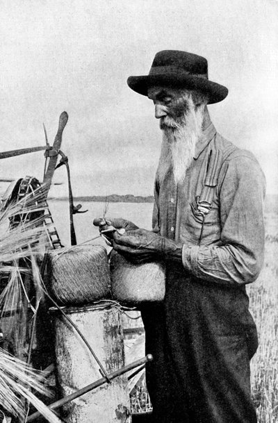 Oogsttijd in het Red River-district, Alberta, Canada, 1922 door Unbekannt