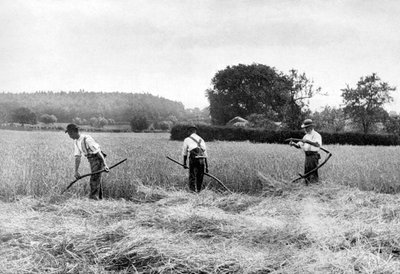Hooien, 1926 door Unbekannt