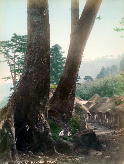 Hata bij Hakone Weg, Japan, begin 20e eeuw door Unbekannt