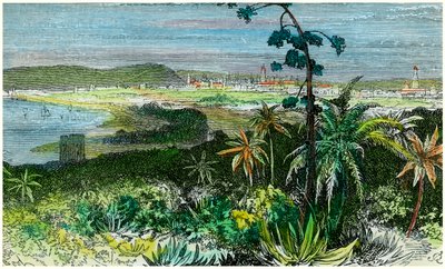 Havana, Cuba, ca. 1880 door Unbekannt