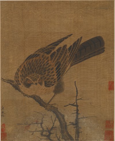 Havik op een Bladloze Tak, Mogelijk Yuan-dynastie, 1279-1368 door Unbekannt