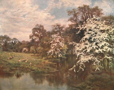 Meidoornbloesems, ca. 1899, ca. 1902 door Unbekannt