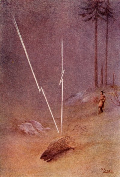 Hij nam plotseling de vorm aan van een gigantische stekelvarken, 1914 door Unbekannt