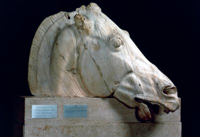 Hoofd van een paard van de Strijdwagen van Selene van het oostelijke fronton van het Parthenon door Unbekannt