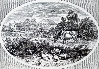 Hoofdstuk door Thomas Bewick door Unbekannt