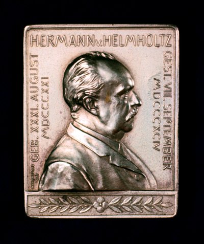 Hermann Ludwig Ferdinand von Helmholtz, ca. 1900 door Unbekannt