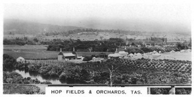 Hopvelden en boomgaarden, Tasmanië, Australië, 1928 door Unbekannt