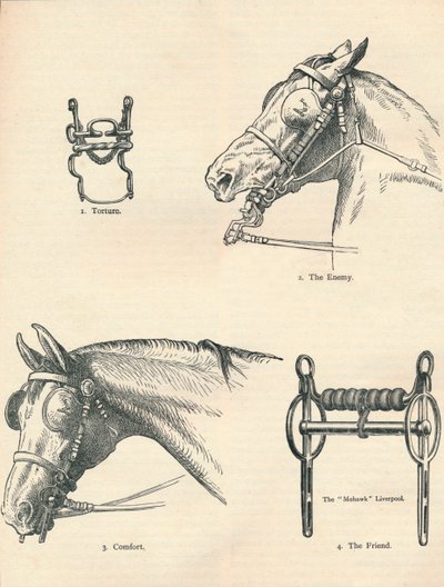 Paardenbitten, goed en slecht, ca. 1909-1910 door Unbekannt