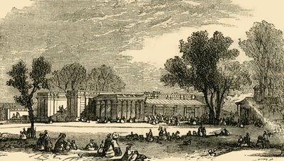 Huizen van de Carnivora, ca. 1876 door Unbekannt