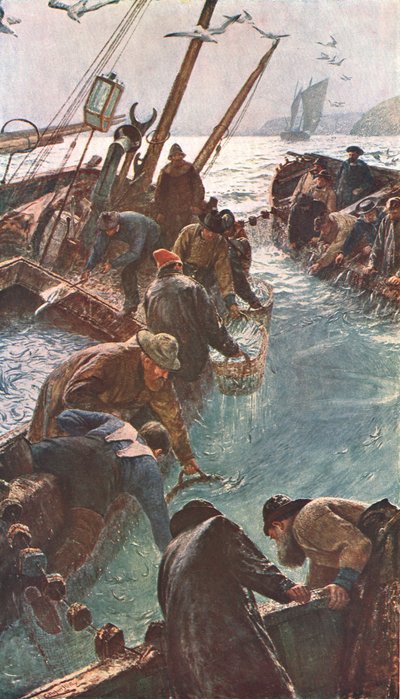 Hoe we de sardines vingen, 1895, c1902 door Unbekannt