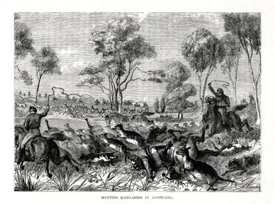 Kangoeroejacht, Australië door Unbekannt
