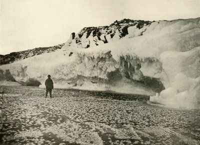 IJsbloemen op pas gevormd zee-ijs vroeg in de winter, ca. 1908, 1909 door Unbekannt