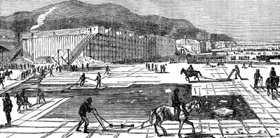 Ijs verzamelen op de Hudson River nabij New York, VS, 1875 door Unbekannt