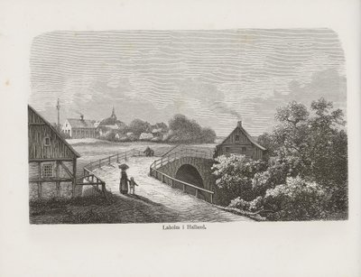 Illustratie uit het boek Nordiska taflor van onbekende auteur en uitgegeven door Albert Bonnier door Unbekannt