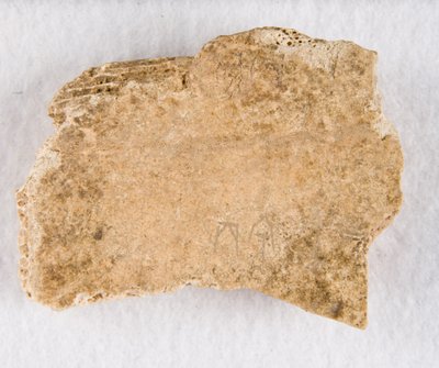 Ingesneden botfragment orakelbot, Late Shang-dynastie, ca. 1300-1050 v.Chr. door Unbekannt
