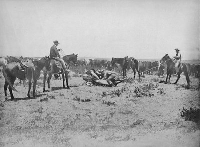 Inspectie van een Brandmerk op de Prairies door Unbekannt