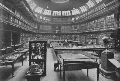 Interieur van het Geologisch Museum, Jermyn Street, 1904 door Unbekannt