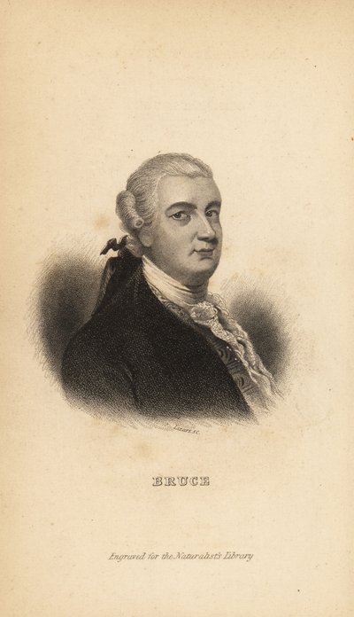 James Bruce van Kinnaird, Schotse ontdekkingsreiziger, schrijver en natuuronderzoeker door Unbekannt