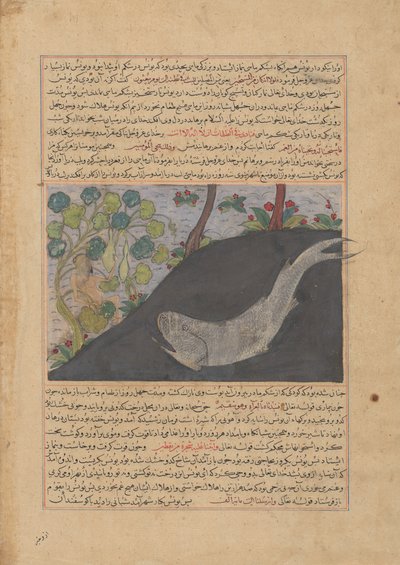 Jona en de Walvis, Folio uit een Majma
