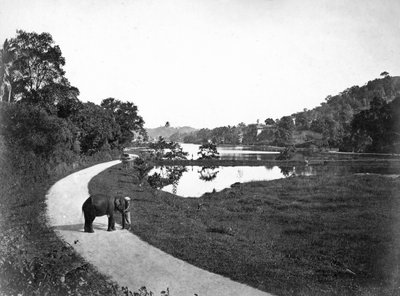 Kandymeer, Kandy, Sri Lanka, ca. 1910s door Unbekannt