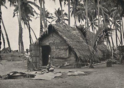 Kokospalmen en Inheemse Hut van Kokosbladeren door Unbekannt