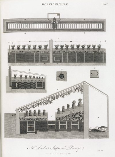 De kas voor het kweken van ananassen, elevatie en doorsnede van het gebouw door Unbekannt