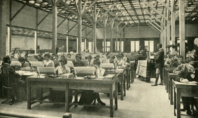 Damesklerken die de Amerikaanse volkstelling verwerken, 1901 door Unbekannt