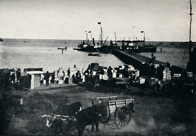Landingsplaats, Punta Arenas, 1911 door Unbekannt