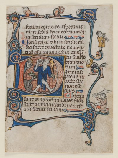 Blad uit een Psalter: Initiaal D: Een dwaas berispt door God, ca. 1300-1320 door Unbekannt