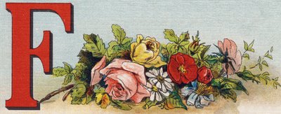 Letter F: bloemen. Gravure in "Alphabet de ma petite fille". Bernardin-Bechet en Fils, boekverkopers-uitgevers, Parijs, rond 1895. Onbreekbaar album op canvas. Bibliotheque des Bebes. 12 pagina