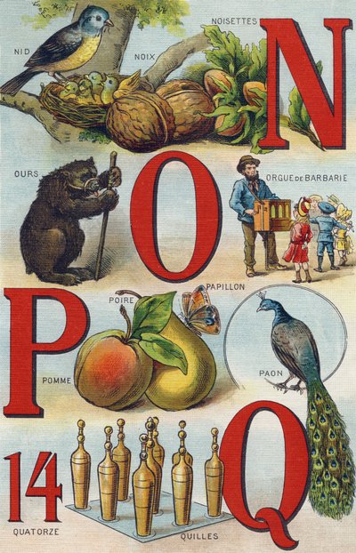 Letters N O P Q; Nest; Hazelnoten; Orgel; Beer; Pauw; Vlinder Appel Peer; Schalen. Gravure in "Alphabet de ma petite fille". Bernardin-Bechet en Fils, boekverkopers-uitgevers, Parijs, rond 1895. Onbreekbaar album op canvas. Bibliotheque des Bebes. door Unbekannt