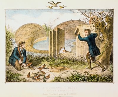 Lincolnshire Eendenval, c1845 door Unbekannt