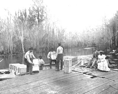 Laden van sinaasappels aan de Ocklawaha River, Florida, VS, ca. 1900 door Unbekannt