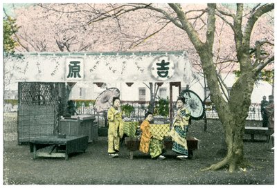 Lunchkraam in een openbaar park, Japan, 1904 door Unbekannt