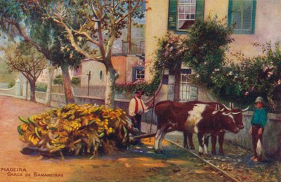 Madeira - Carca De Bananeiras, ca. 1940 door Unbekannt