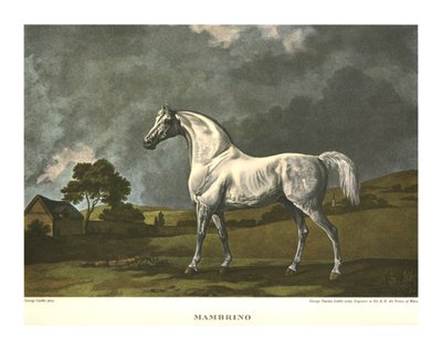 Mambrino, ca. 1779, ca. 1955 door Unbekannt