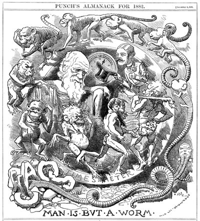 De Mens is Slechts een Worm, Cartoon uit Punch die Evolutie van Worm tot Mens Toont door Unbekannt