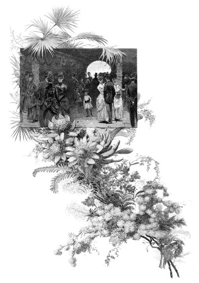Manly wilde bloemen show, Sydney, New South Wales, Australië, 1886 door Unbekannt