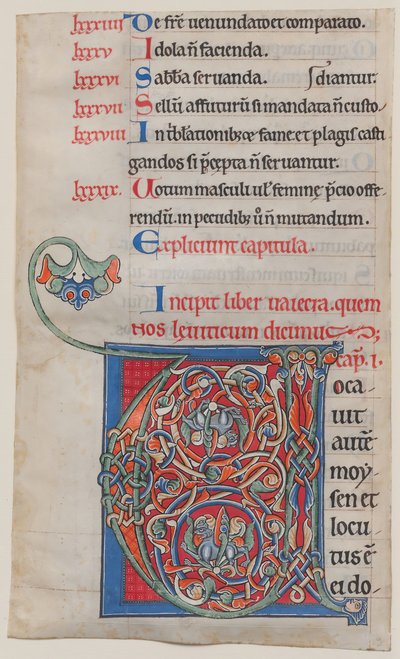 Manuscriptverlichting met initiaal V, uit een Bijbel, ca. 1175-95 door Unbekannt