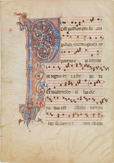 Manuscriptblad met gebladerde initiaal P, uit een antifonarium, ca. 1250-60 door Unbekannt