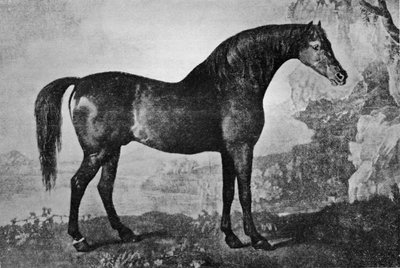 Marske, 1750-1779, 1911 door Unbekannt