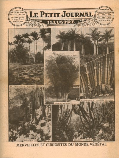 Wonderen en curiositeiten van de plantenwereld, 1931 door Unbekannt