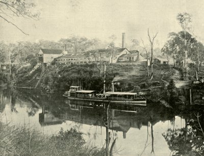Vleesfabriek, nabij Grafton, New South Wales, 1901 door Unbekannt