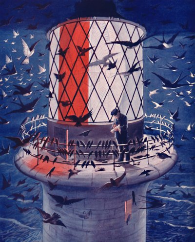 Trekvogels bezoeken de vuurtoren, 1935 door Unbekannt