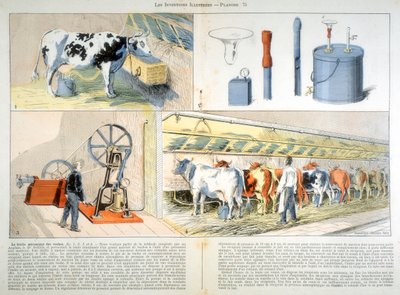 Melkstal uitgerust met Thistle zuig- en pulsatiemelkmachine, 1899 door Unbekannt
